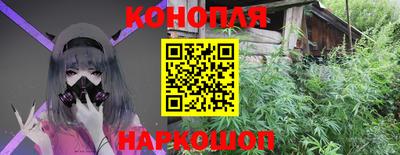 PSILOCYBIN Краснознаменск