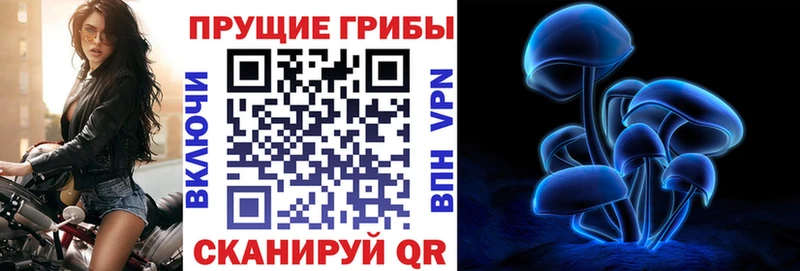 Псилоцибиновые грибы GOLDEN TEACHER  купить наркотик  Ивантеевка 