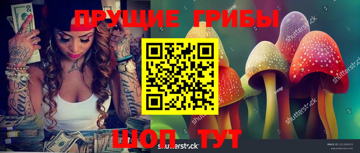 Псилоцибиновые грибы ЛСД  закладка  Ивантеевка  Вход с VPN 